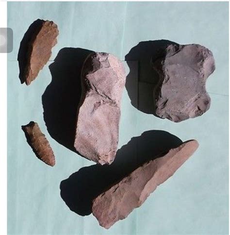 Pin By Bonnie Roy On Paleo Artifacts Tools Arrowheads Artifacts