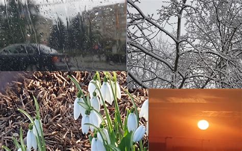 Două anotimpuri în luna februarie Temperaturi de 15 grade Celsius și