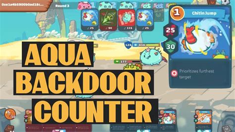 AQUA BACKDOOR COUNTER CHITIN JUMP Aqua Aqua Bird AAB Axie Infinity