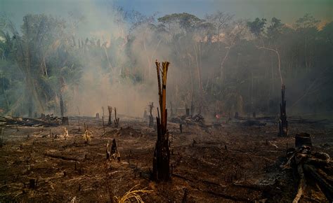 See Photos Of The Amazon Rainforest Fires In Brazil Time