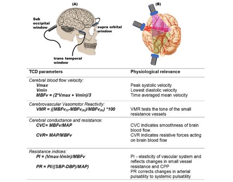 Transcranial Ultrasound