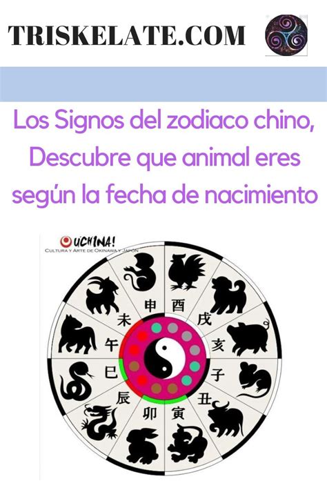 Los Signos Del Zodiaco Chino Signos Del Zodiaco Chino Zodiaco