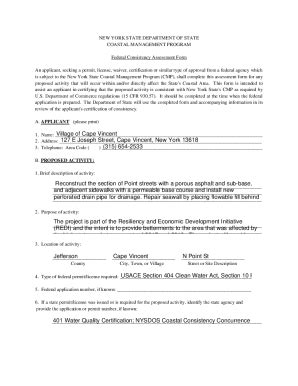 Fillable Online Dos Ny Dos Ny Govfederal Consistency Assessment Form