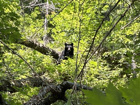 A secret hiking trail in Jefferson county KY was discovered 12