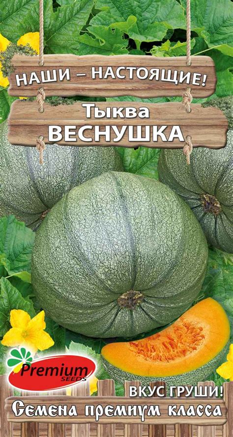 ТЫКВА — Семена для Сибири