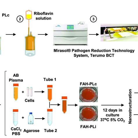 Inactivation Of Human Plasma And Generation Of The Cellularized