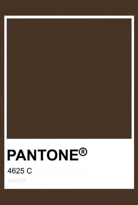 Pantone Skin Tone 4625 C Pantone Pantone Color Color Swatches