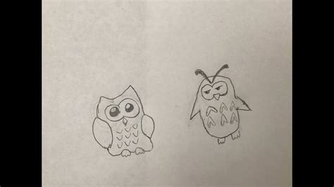 How To Draw Owls Youtube