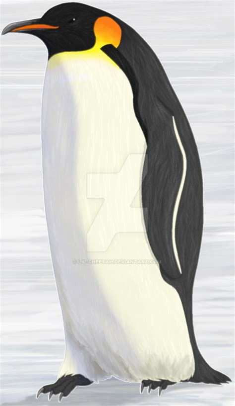 Emperor Penguin Drawing at GetDrawings | Free download