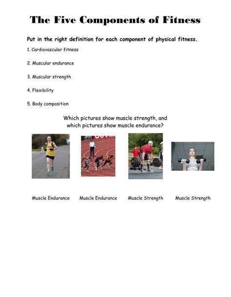 Components Of Fitness Worksheet Fill And Sign Printable Template