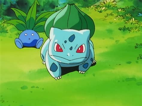 Bulbasaur Asha Pokémon Wiki Fandom Powered By Wikia