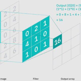 A convolutional filter along with the input image and output[16] 2.2.2 ...