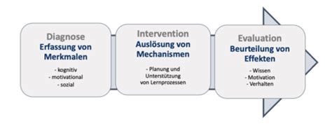 3 Sitzung Funktionen der Schule Aufgaben von Lehrkräften Flashcards