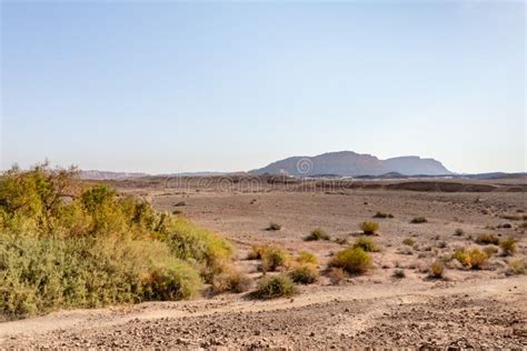 The Majestic Beauty Of The Boundless Stone Judean Desert In Southern