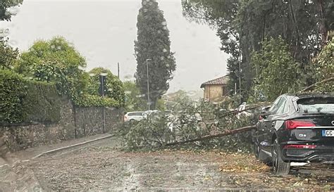 Rischio Caduta Alberi Accesso Vietato A Parchi E Giardini