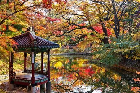 changdeokgung palace   secret garden koreatravelpost