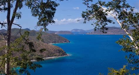 11 Best Trails for Hiking in St John USVI (2024 Guide)