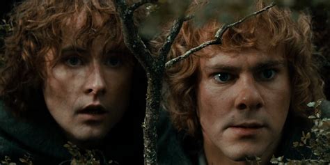 The Lord Of The Rings: The 10 Funniest Merry And Pippin Quotes