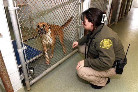 Bridgeport Animal Control Aims To Free The Shelter