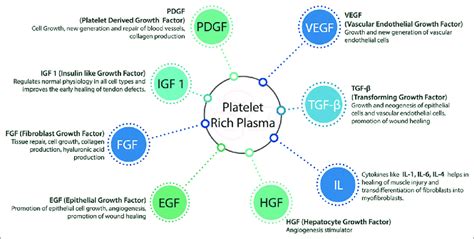 The Components Of Platelet Rich Plasma And Their Functions Download