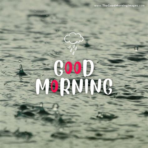 Full 4K Collection Of Over 999 Amazing Rainy Good Morning Images