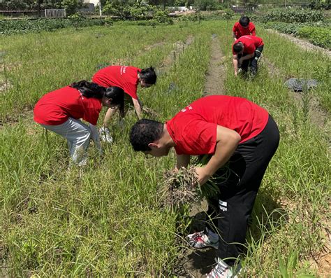 用心上好社会实践“多维课堂” 助力乡村振兴尽显青春担当——管理学院暑期大学生社会实践活动纪实 新闻网