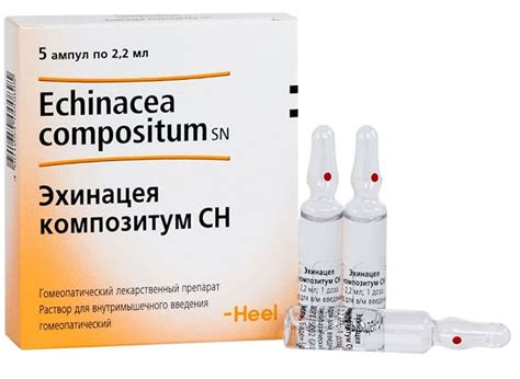 Эхинацея композитум сн (Echinacea compositum sn)