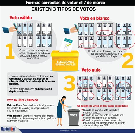 Cuáles son las formas para votar en las elecciones subnacionales de