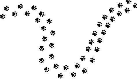 Paw Trail Of Animal Cat Or Dog Print Pattern Footpath Print Paw