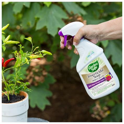 Garden Safe 24 Fl Oz Insecticidal Soap Garden Insect Killer Trigger