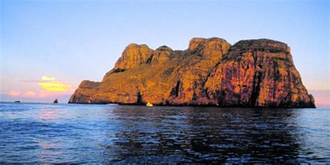 Diving in Malpelo Island - Rates, how to get there and attractions