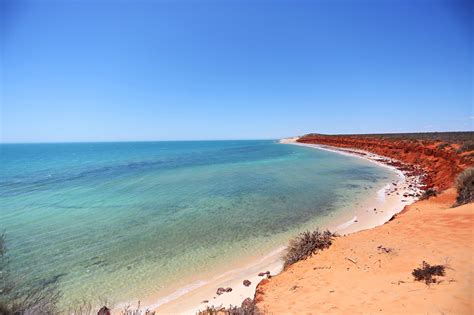 Shark Bay Coastal Tours Denham Ce Quil Faut Savoir