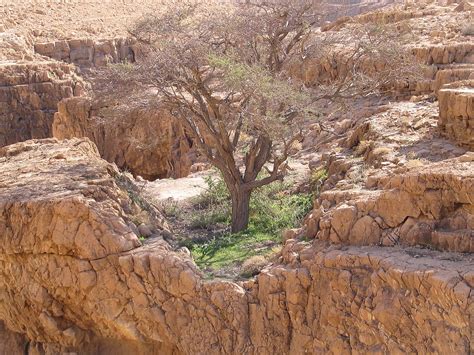 Cave of the Treasure - Nahal Mishmar - IsraelandYou.com