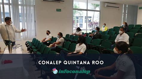 Conalep Quintana RooToda la información