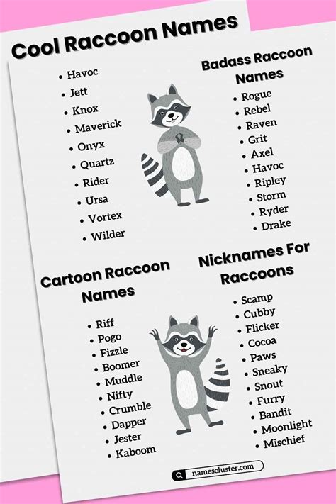 150+ Best Cute Fuuny and Famous Pet Raccoon Names