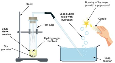 How Do Bases React With Metals — Lesson Science Cbse Class 10