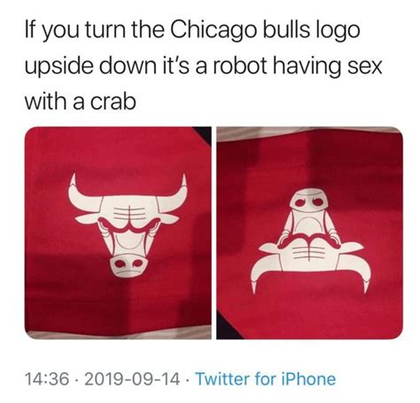 bulls logo upside down 2