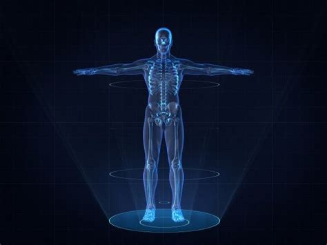 Premium Photo Hologram Image Of Human Male Skeleton Hologram Images