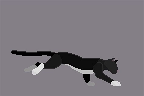 Cat Pixel Art Gif