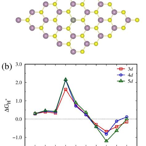 Structures Of The TM Doped MoS2 When A Hydrogen Atom Adsorbed The