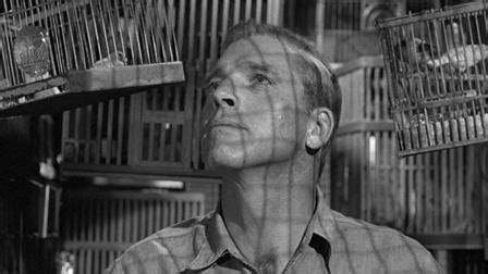 Birdman of Alcatraz (1962) - MUBI