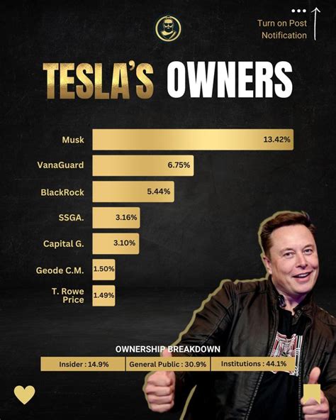 Unlocking The Ownership Of Tesla An Infographic On The Different