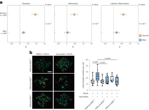 A Gene By Sex Interaction Contributes To Liver Disease Susceptibility