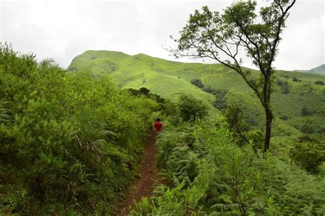 Trek to KudreMukh Peak - Tripoto