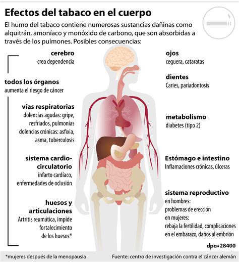 Efectos Del Tabaco En El Cuerpo Z Digital