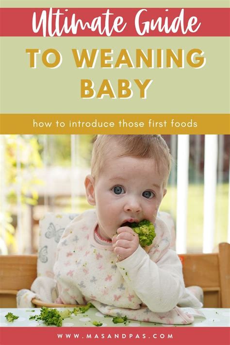 Ultimate Guide To Weaning Baby How To Introduce Those First Foods