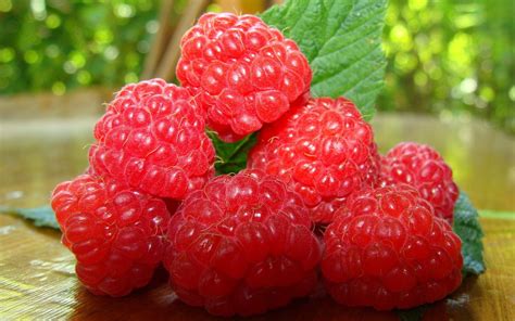 Download Food Raspberry HD Wallpaper