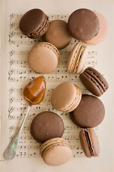 Chocolate Music Macarons Cream Aesthetic Brown Aesthetic Aesthetic