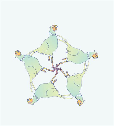 animal patterns  behance