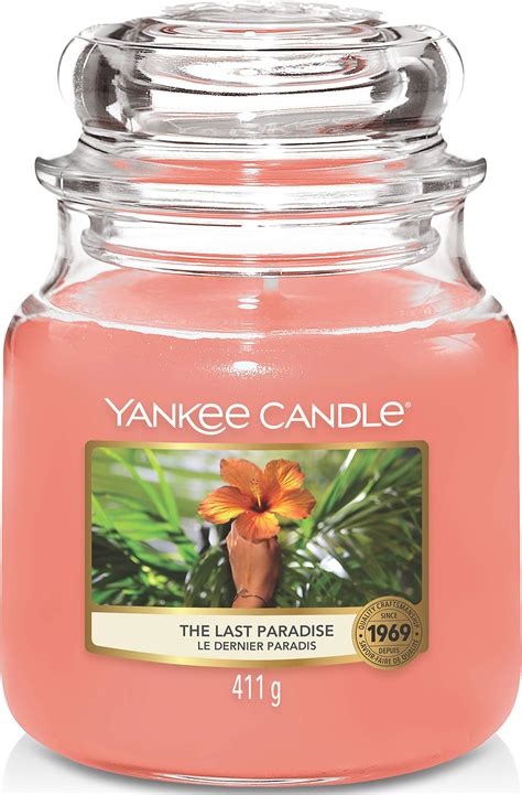 Yankee Candle Scented Candle Red Raspberry Medium Jar Candle Burn